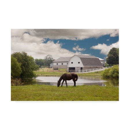 Monte Nagler 'Horse And Barn Shipshewana Indiana Color' Canvas Art,12x19